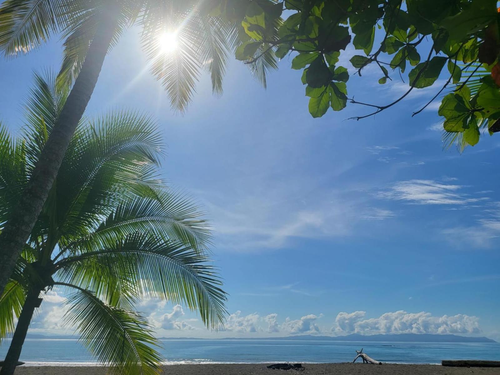Agua Dulce On The Beach Пуерот-Хіменес Екстер'єр фото
