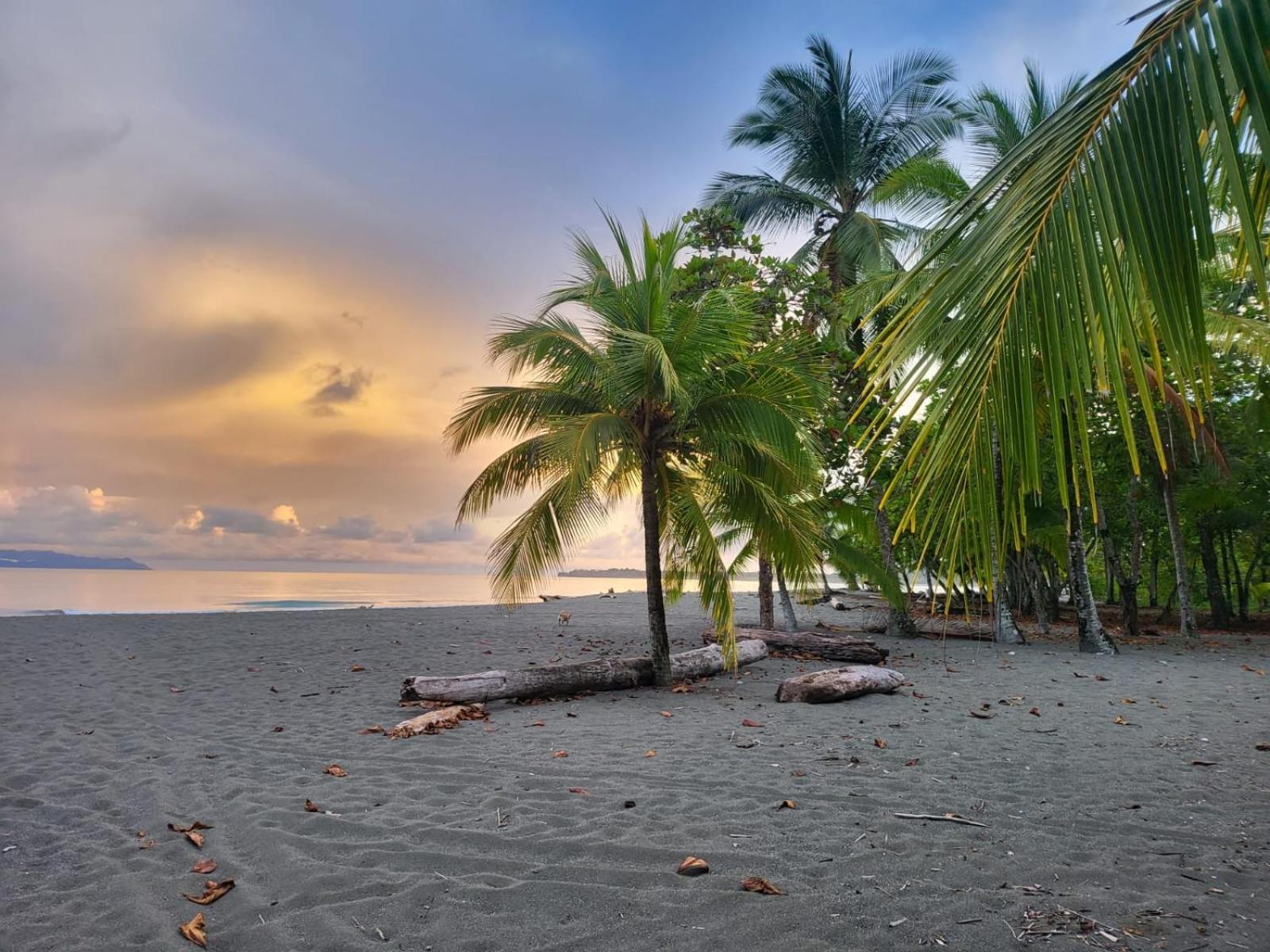 Agua Dulce On The Beach Пуерот-Хіменес Екстер'єр фото